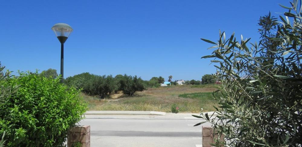 Elia Mare Apartment Mastichari  Zewnętrze zdjęcie
